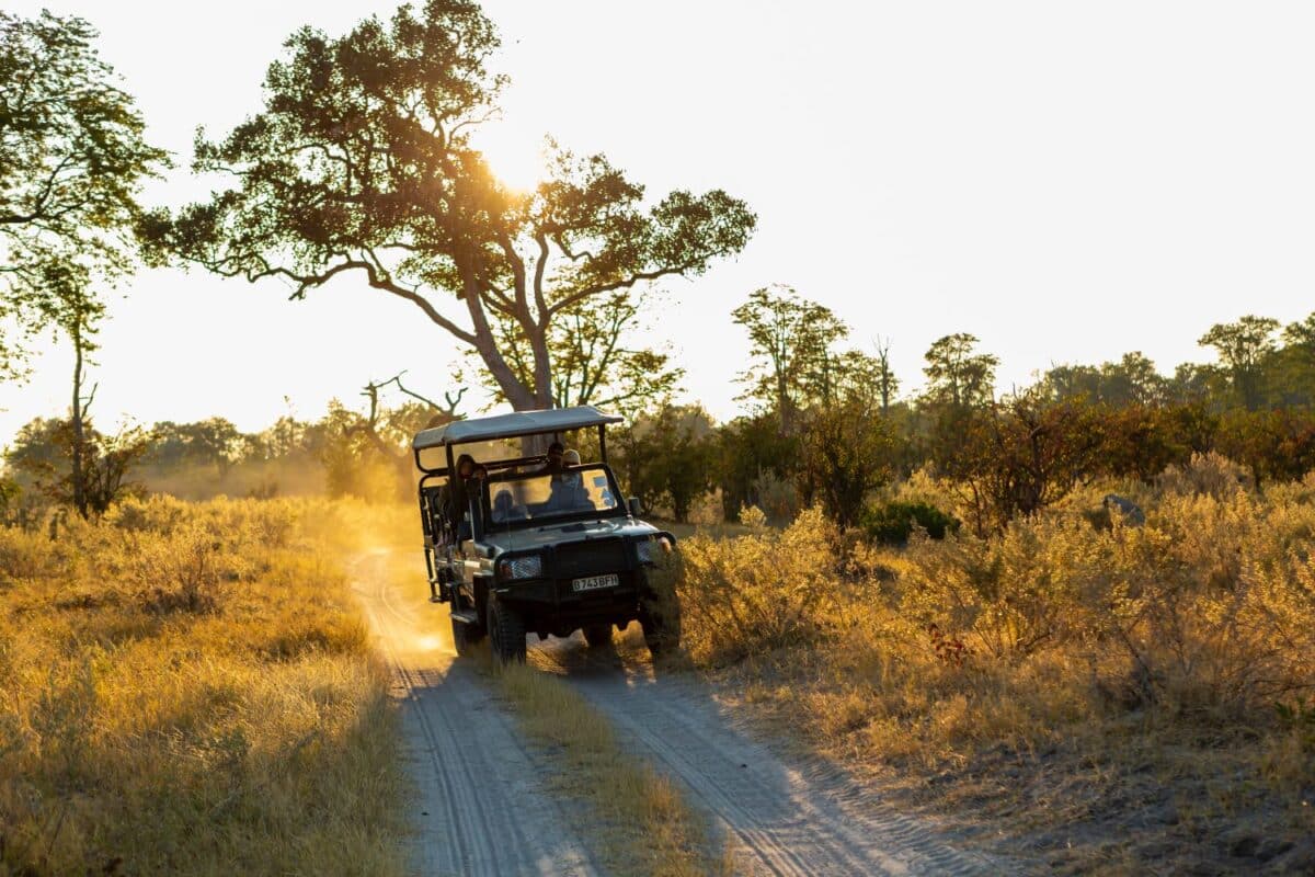 Safari jeep on a dirt road, a sunrise drive