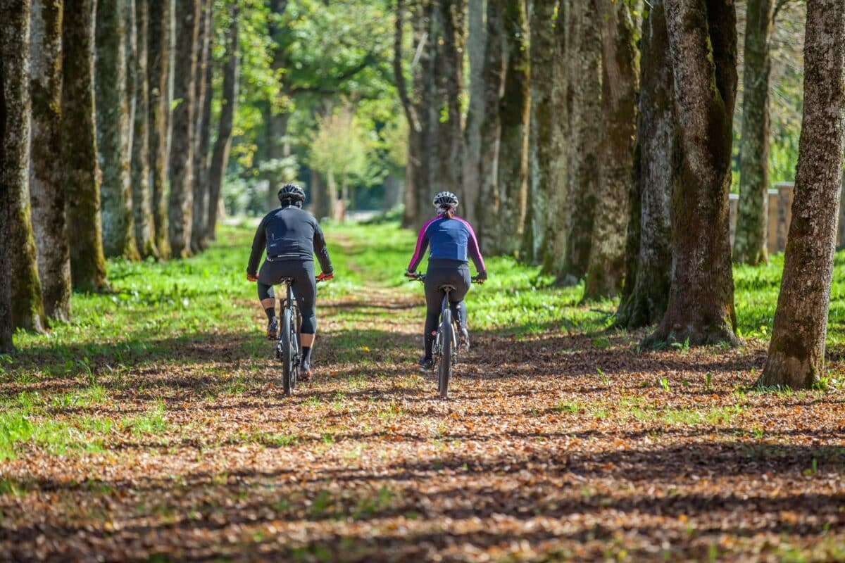 Shot of two cyclers cycling on a road with giant trees on both sides